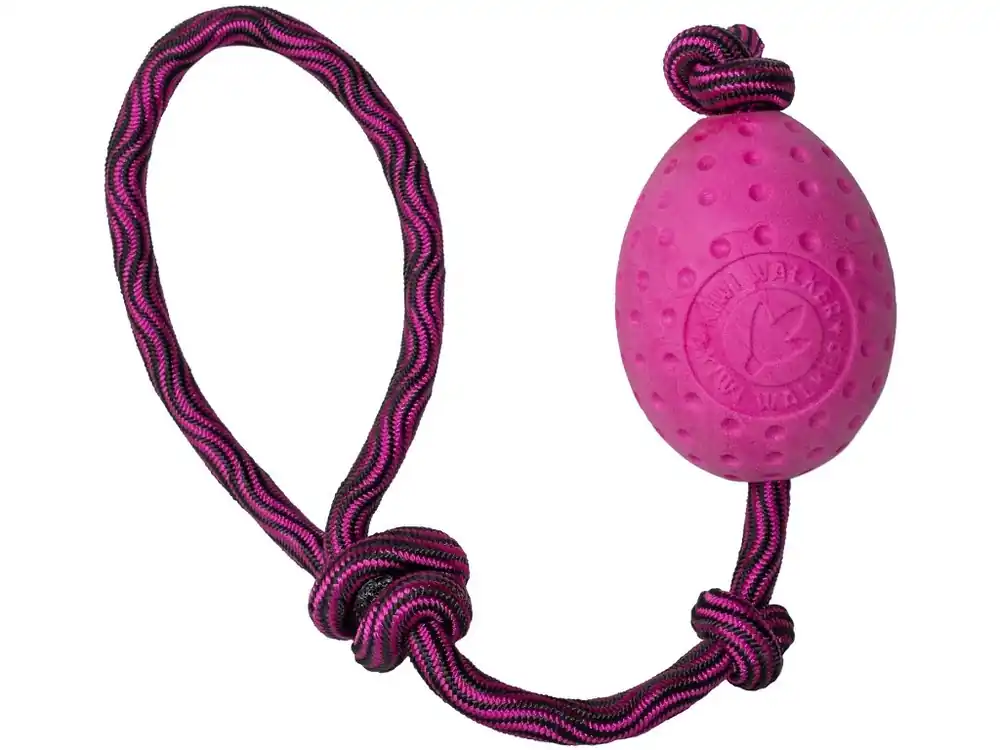 Hračka pes EGG MAXI plov. z TPR růžová Kiwi Korting
