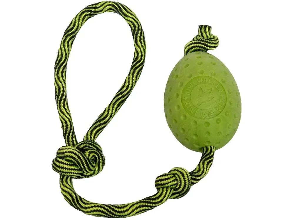 Voordeelprijs Hračka pes EGG MAXI plov. z TPR zelená Kiwi