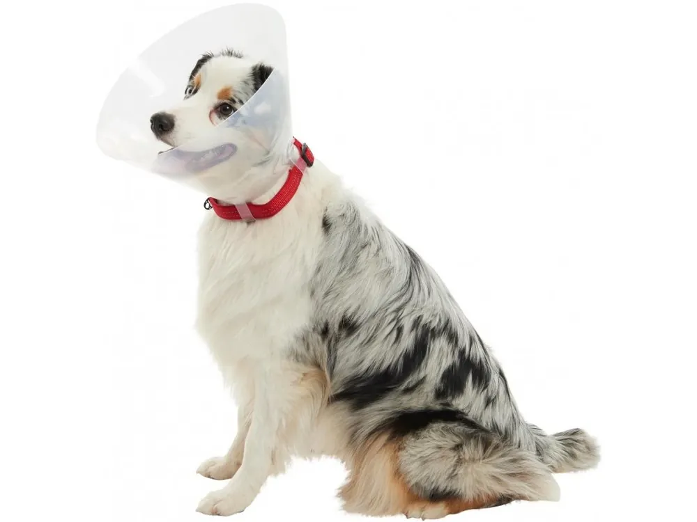 Límec ochranný BUSTER plastový Classic Collar 40cm Nieuw