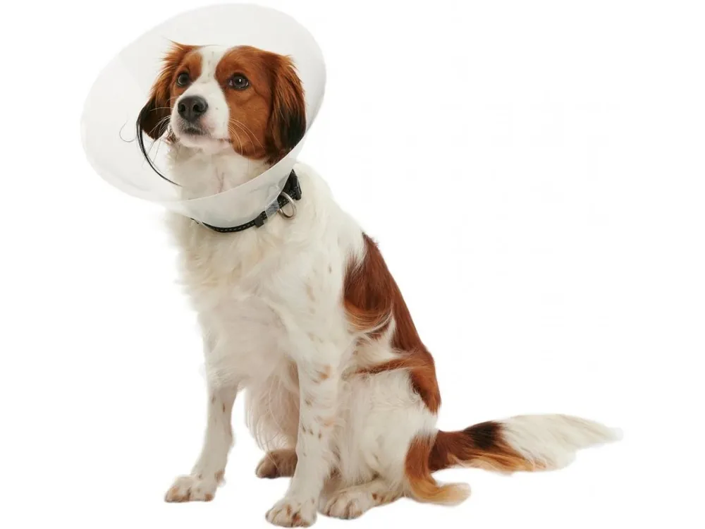 Límec ochranný BUSTER plastový Clic Collar 30cm Nieuw