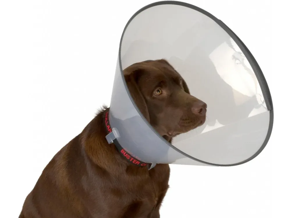 Límec ochranný BUSTER plastový Comfort Collar 10 cm Superprijs