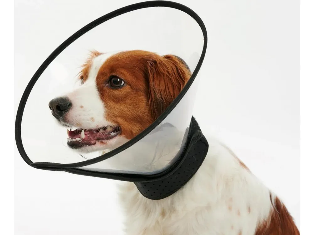 Bestseller Límec ochranný BUSTER plastový Complete Collar 7,5 cm