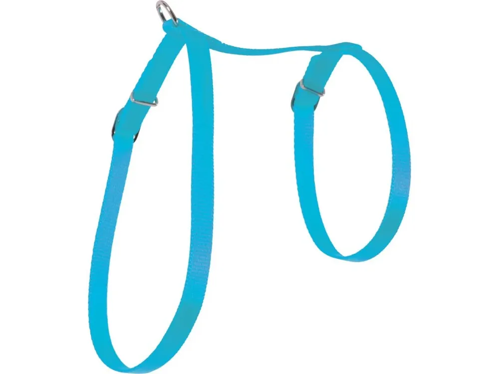 Superprijs Postroj kočka nylon 10mm modrý Zolux