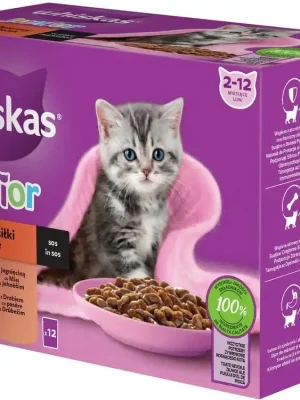 Whiskas Junior klasický pokrm ve šťávě 12x85g Exclusieve Aanbieding